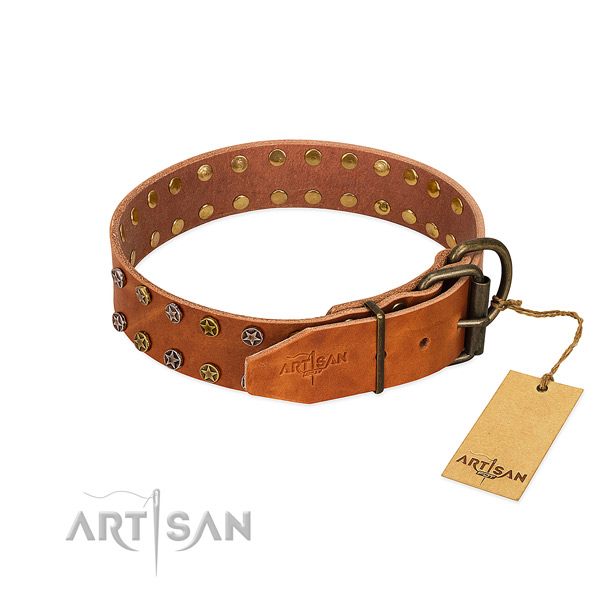 Everyday use genuine leather dog collar with stylish design embellishments