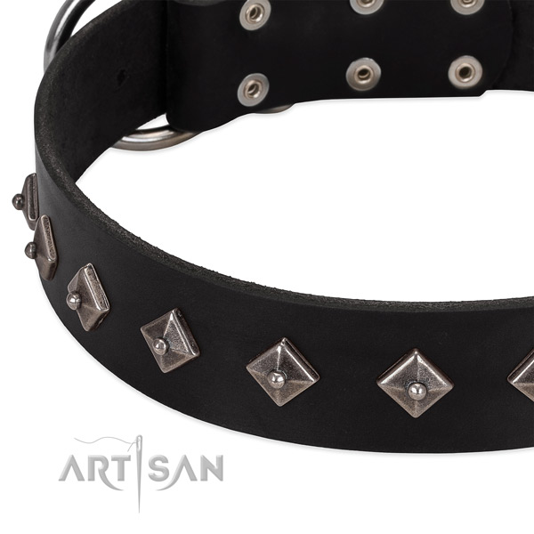 Extraordinary collar of natural leather for your handsome canine