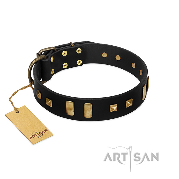 Flexible natural leather dog collar with studs for everyday use