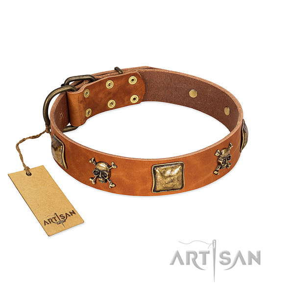 Remarkable leather dog collar with durable embellishments
