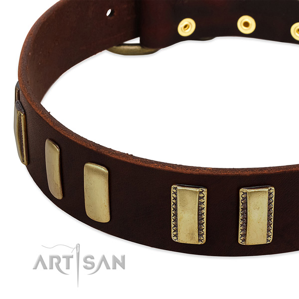 Full grain natural leather dog collar with strong fittings for fancy walking