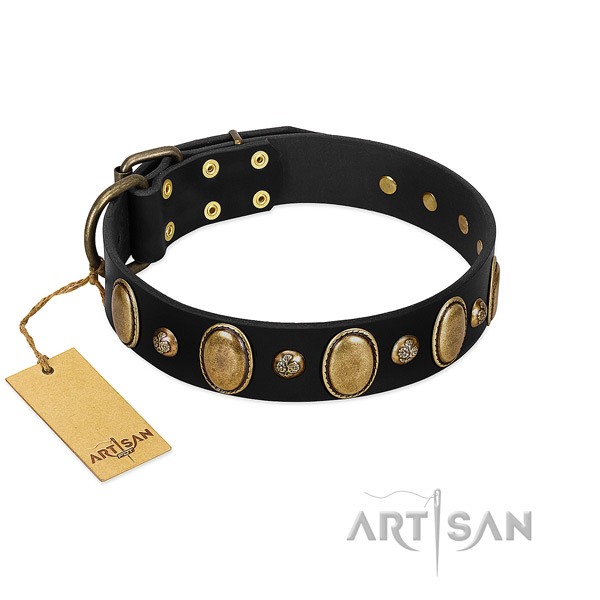 Full grain natural leather dog collar of top notch material with stylish design embellishments