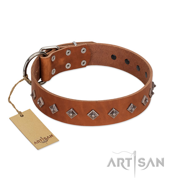 Leather dog collar with remarkable decorations made dog