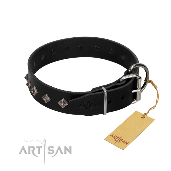 Genuine leather dog collar with awesome adornments for your canine