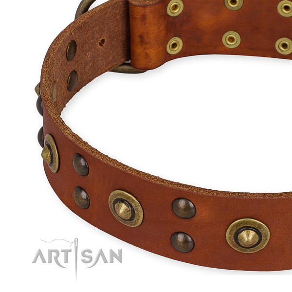 Genuine leather collar with corrosion proof hardware for your impressive dog