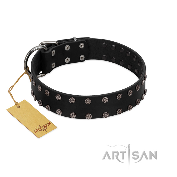 Handy use natural leather dog collar with incredible adornments