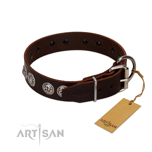 Remarkable full grain leather collar for your canine daily walking