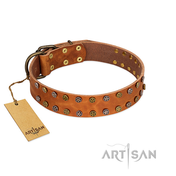Walking flexible full grain leather dog collar with adornments