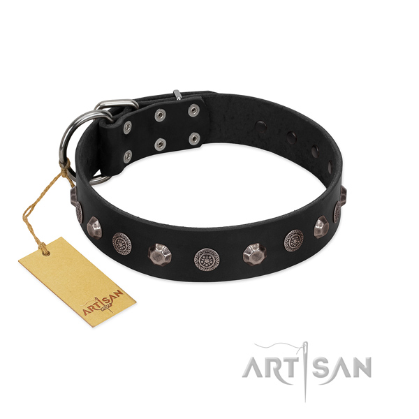 Fashionable full grain leather dog collar