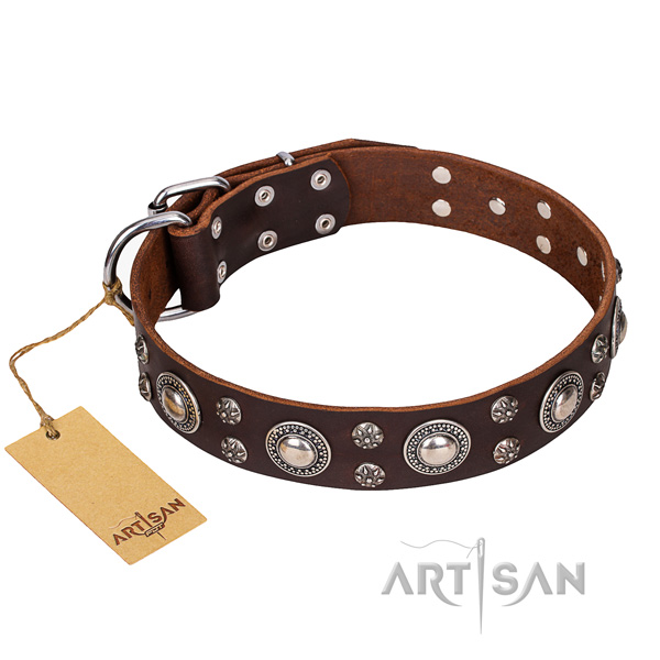 Walking dog collar of strong full grain leather with decorations