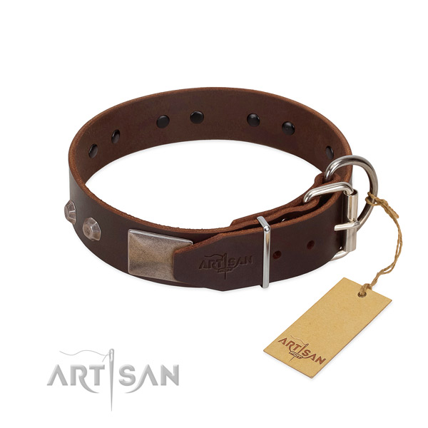Significant natural genuine leather dog collar for stylish walking your canine