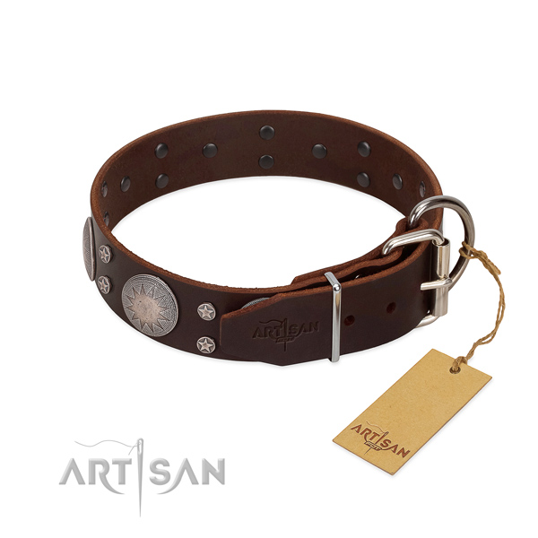 Corrosion proof D-ring on leather dog collar for handy use