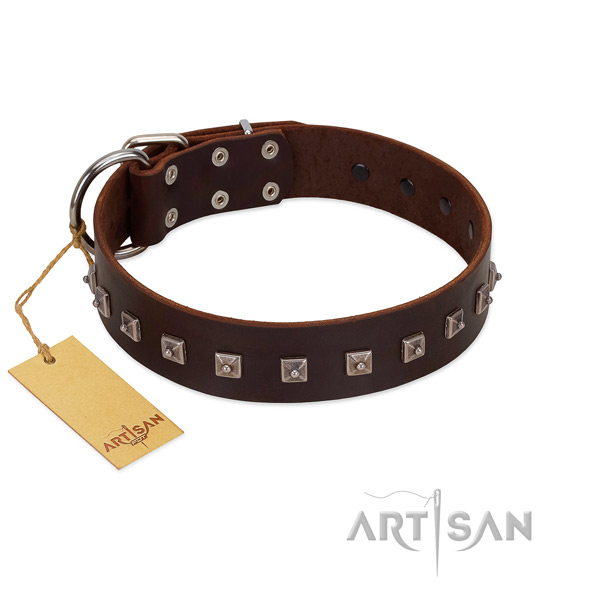 Unusual studded leather dog collar