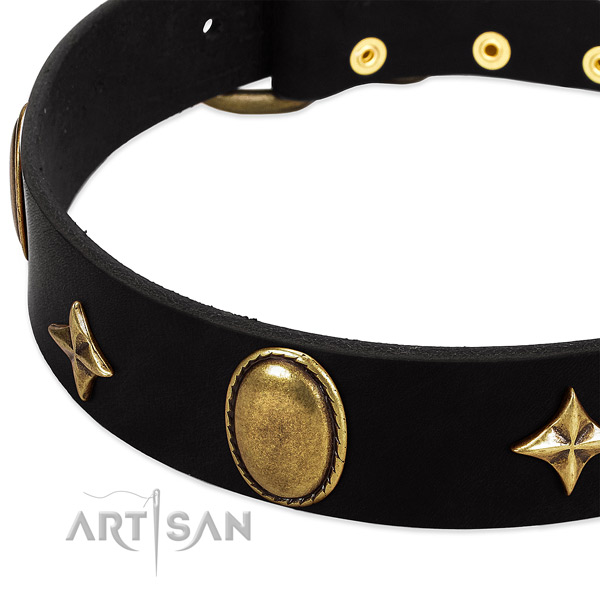 Top notch leather collar with corrosion resistant adornments for your canine