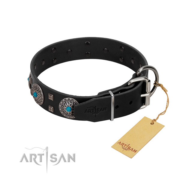 Soft leather dog collar with embellishments for everyday use