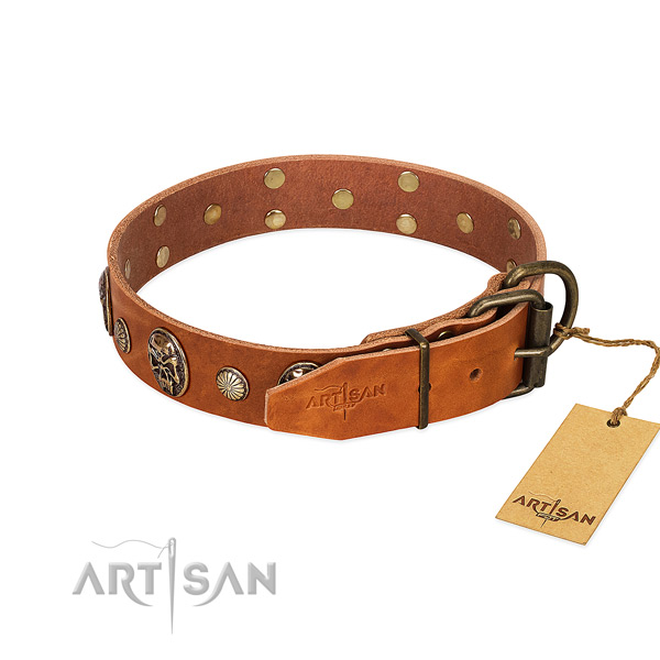 Rust-proof D-ring on full grain natural leather collar for everyday walking your pet