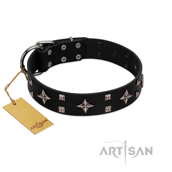 Exceptional genuine leather collar for your four-legged friend everyday walking