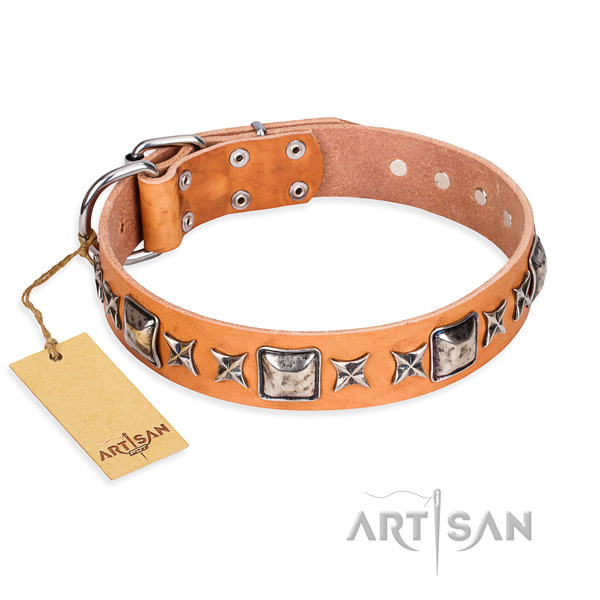 Basic training dog collar of durable genuine leather with adornments