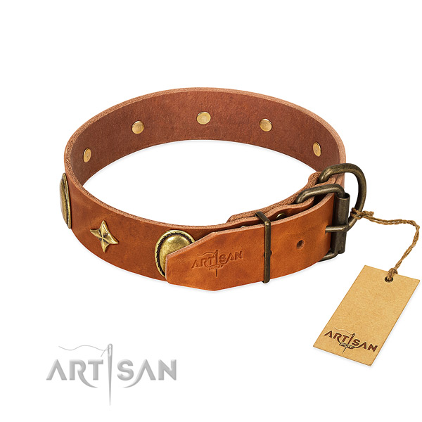Best quality leather dog collar with significant adornments