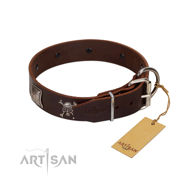 Awesome full grain leather collar for your beautiful canine