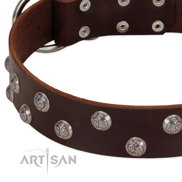 Genuine leather dog collar with corrosion proof fittings and studs