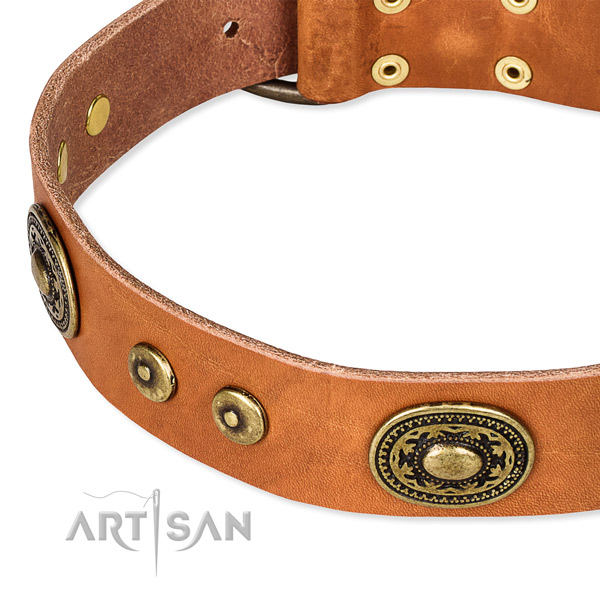 Full grain natural leather dog collar made of top rate material with decorations