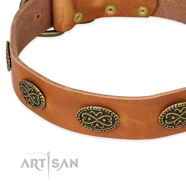Easy wearing leather collar for your impressive canine