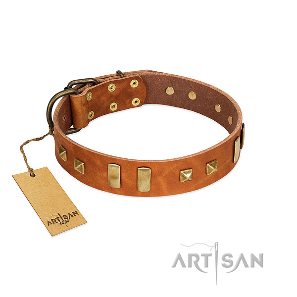 Full grain natural leather dog collar with corrosion resistant traditional buckle