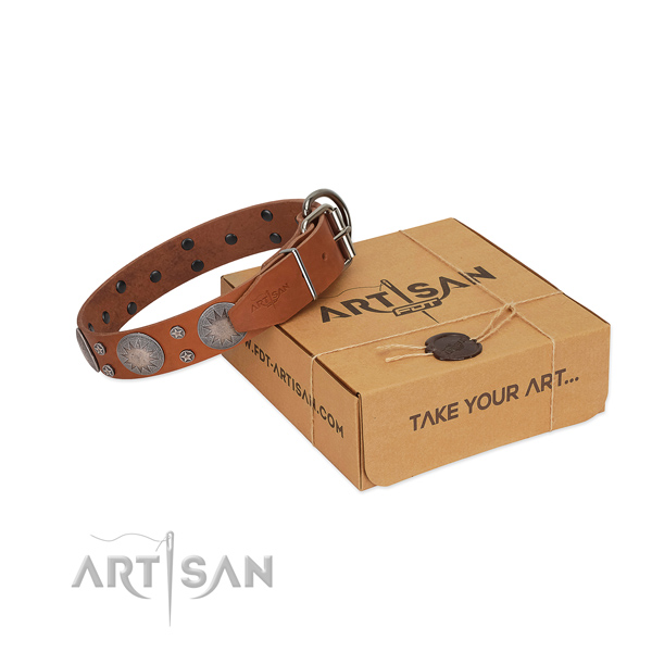 Top notch embellishments on natural leather collar for easy wearing your doggie