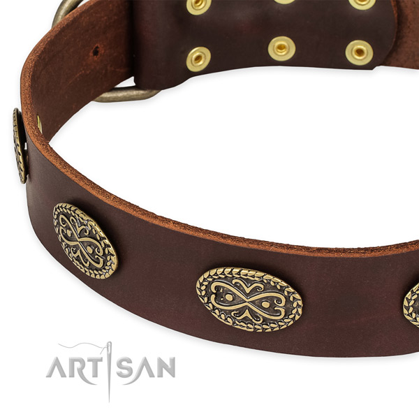 Studded full grain leather collar for your attractive doggie