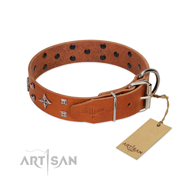 Top notch genuine leather collar for your pet walking