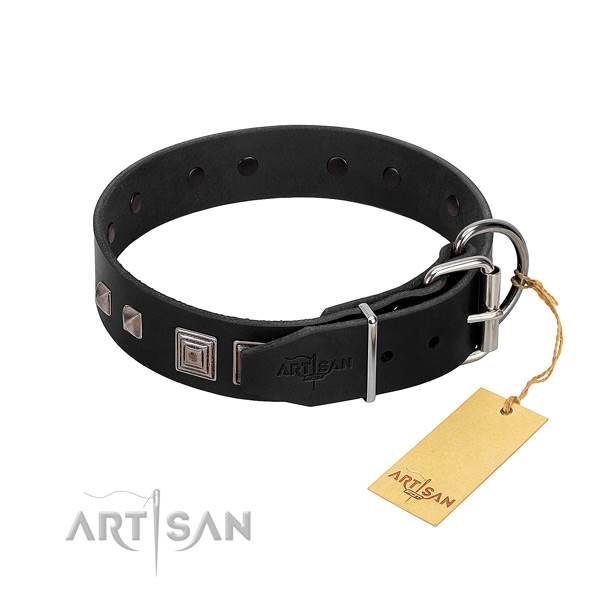 Daily walking natural leather dog collar with remarkable adornments