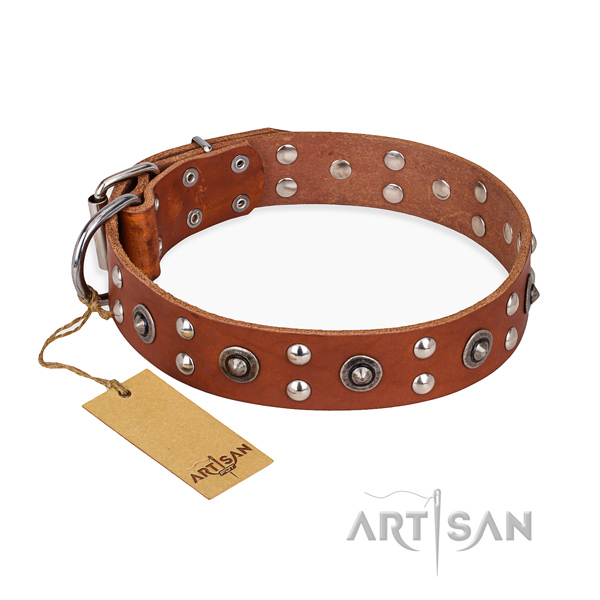 Stylish walking inimitable dog collar with rust-proof hardware
