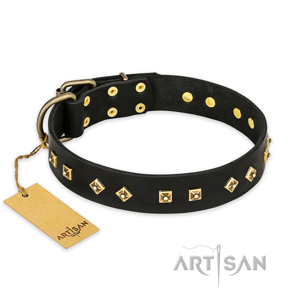 Extraordinary leather dog collar with corrosion proof buckle