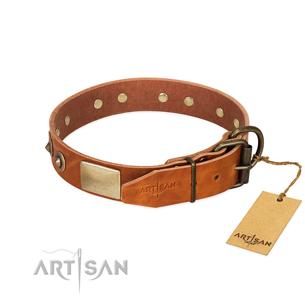Rust resistant buckle on handy use dog collar
