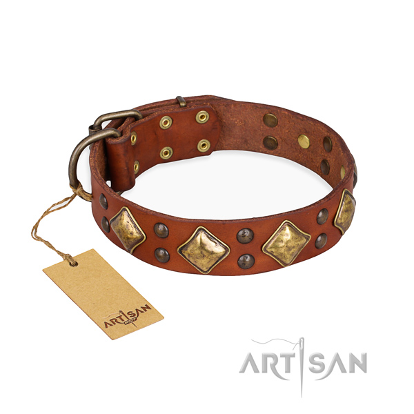 Comfy wearing incredible dog collar with rust-proof D-ring