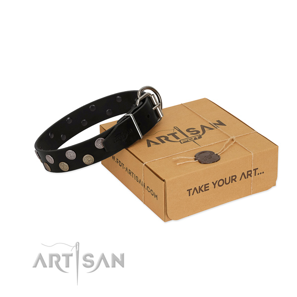 Fashionable adornments on natural leather dog collar for everyday use