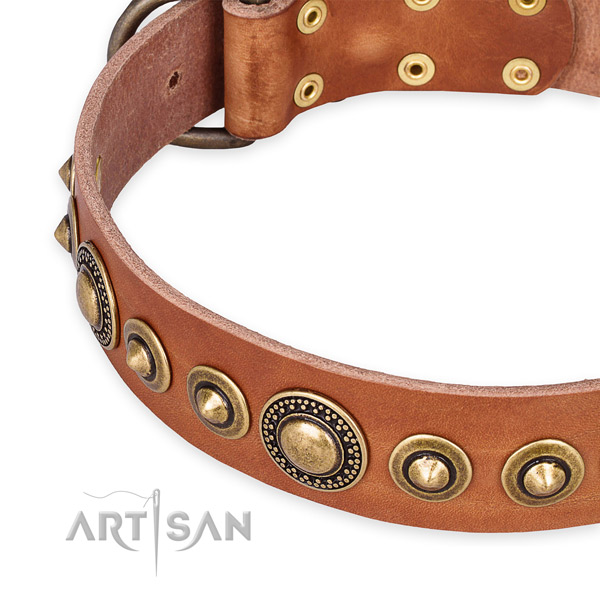 Top rate leather dog collar created for your impressive doggie
