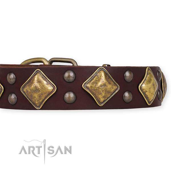 Full grain leather dog collar with incredible durable embellishments