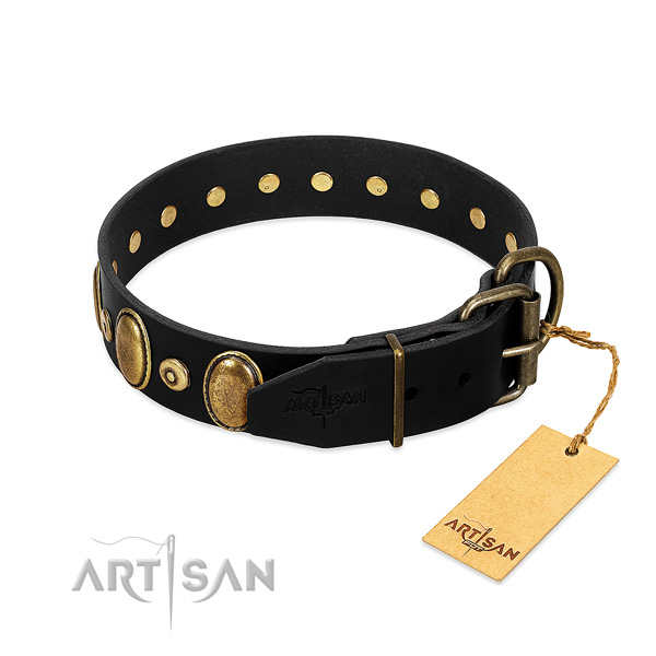 Rust resistant traditional buckle on comfy wearing collar for your pet