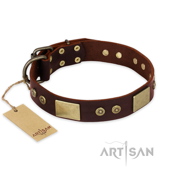 Awesome full grain genuine leather dog collar for stylish walking
