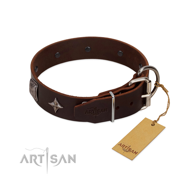 Soft full grain leather dog collar with remarkable studs