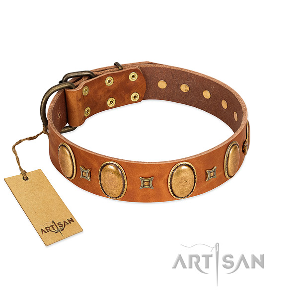 Genuine leather dog collar with trendy adornments for easy wearing