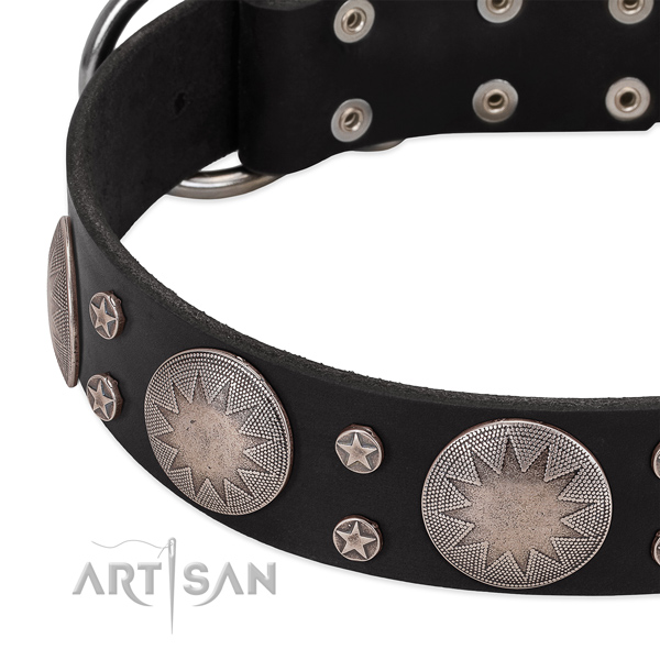 Top notch natural leather dog collar with decorations for your attractive four-legged friend