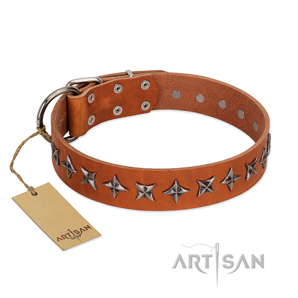 Basic training dog collar of durable leather with studs