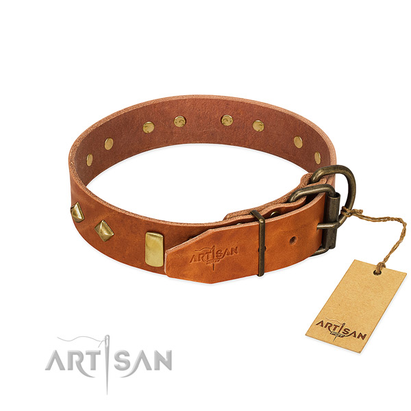 Everyday use full grain leather dog collar with trendy adornments