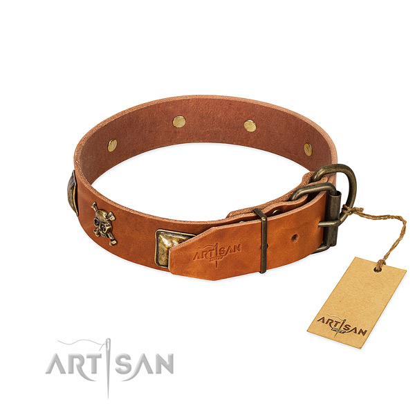 Designer leather dog collar with durable studs