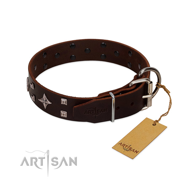 Remarkable leather collar for your pet walking