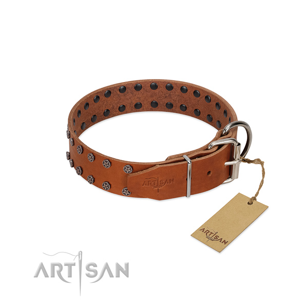 Gentle to touch full grain natural leather dog collar with decorations for your dog