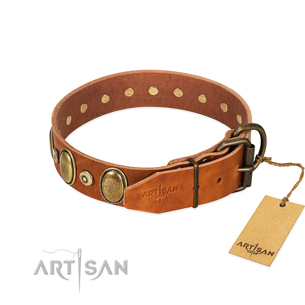 Durable leather collar crafted for your doggie